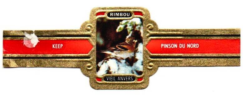 2_02-standard-p4r6ft.jpg
