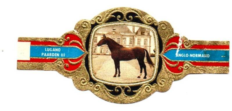 2_04-standard-9ayyti.jpg