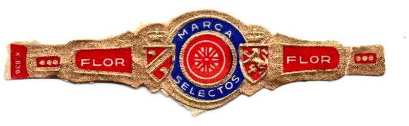 2_04-standard-fdzwx0.jpg
