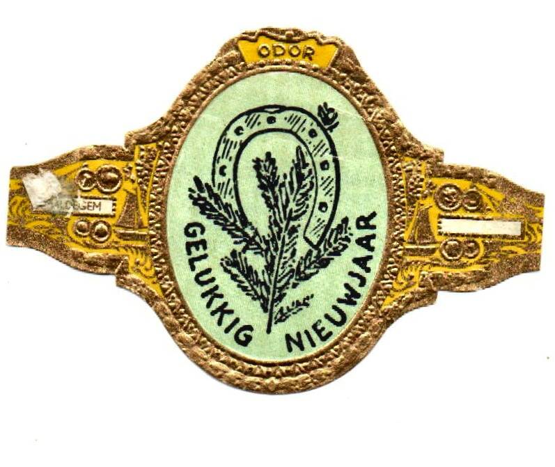 2_04-standard-iv08fk.jpg