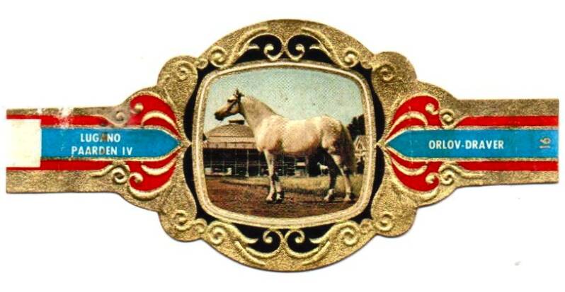 2_05-standard-grwtzo.jpg