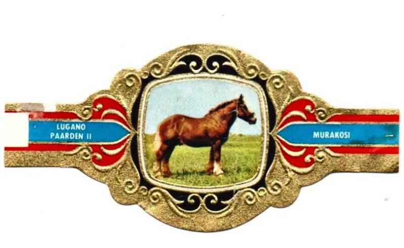 2_06-standard-68neto.jpg