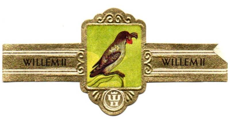 2_07-standard-245m86.jpg
