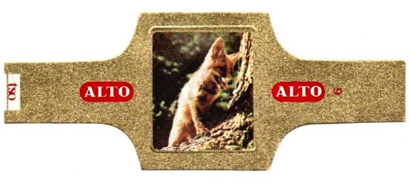 2_09-standard-7bx4la.jpg