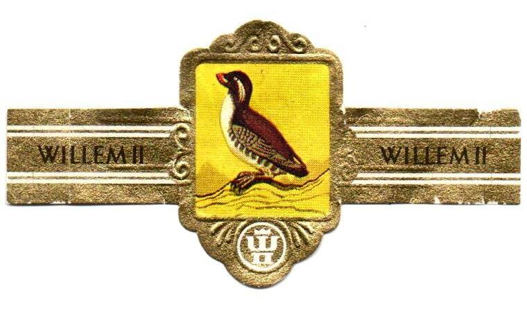 2_10-standard-0nuo93.jpg