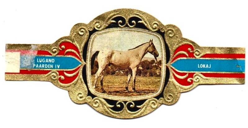 3_07-standard-icutzv.jpg