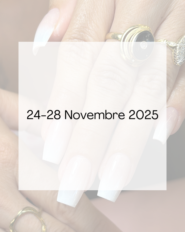 Session du 24 au 28 Novembre 2025