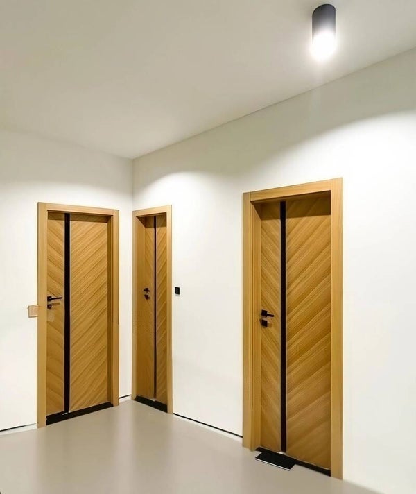 Portes d'intérieur moderne