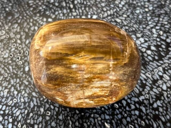 Versteend Hout - Ovale Bol 2 - Madgaskar