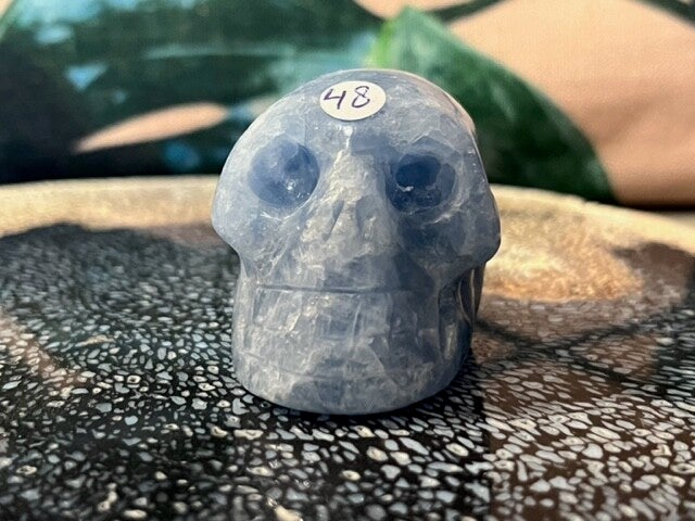 Blauw Calciet Skull nr 1 - 5.2 x 3.7 x 3.6 - 101 gram