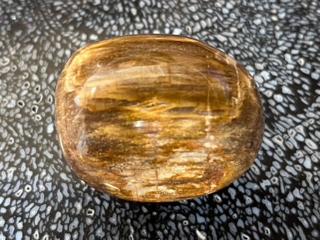Versteend Hout - Ovale Bol 2 - Madgaskar