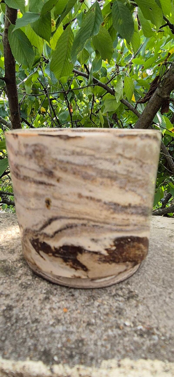 Lumière fossile - Collection Volutes