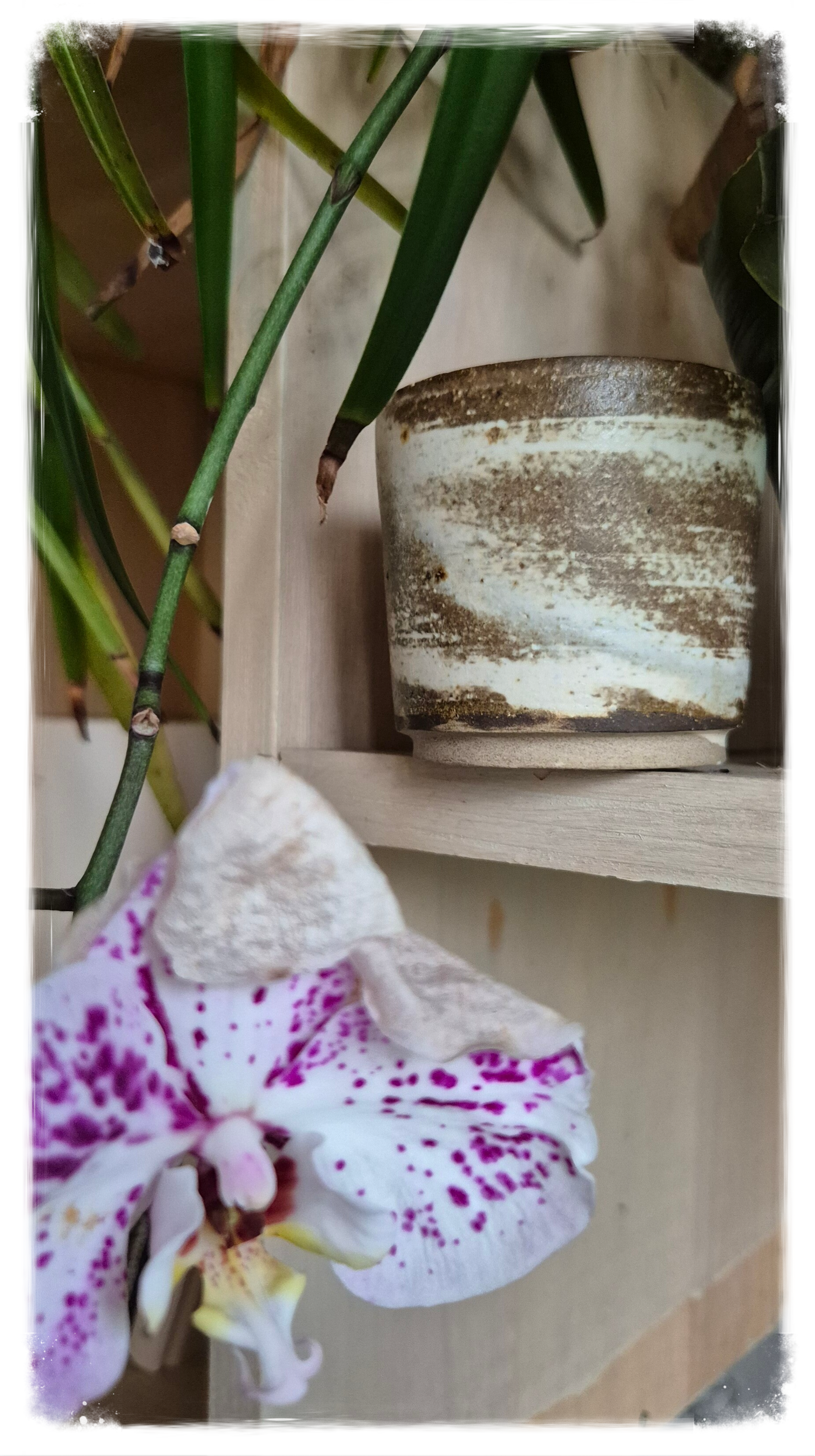 Lumière nichée - Collection Lueurs - Sans parfum