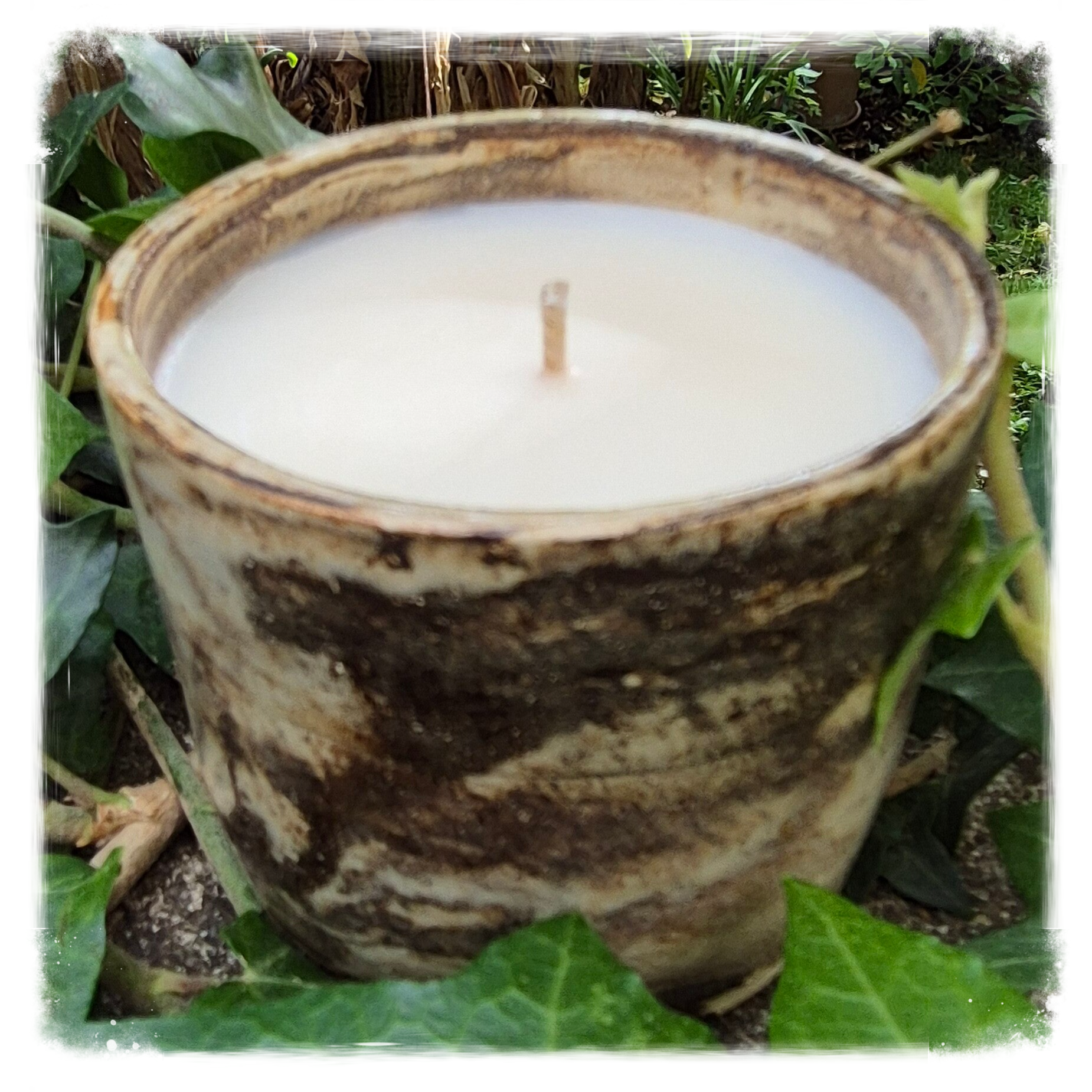 Terre de silence - Collection Volutes