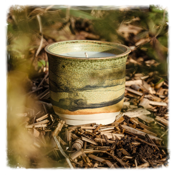 Sous les cèdres, l'horizon vert