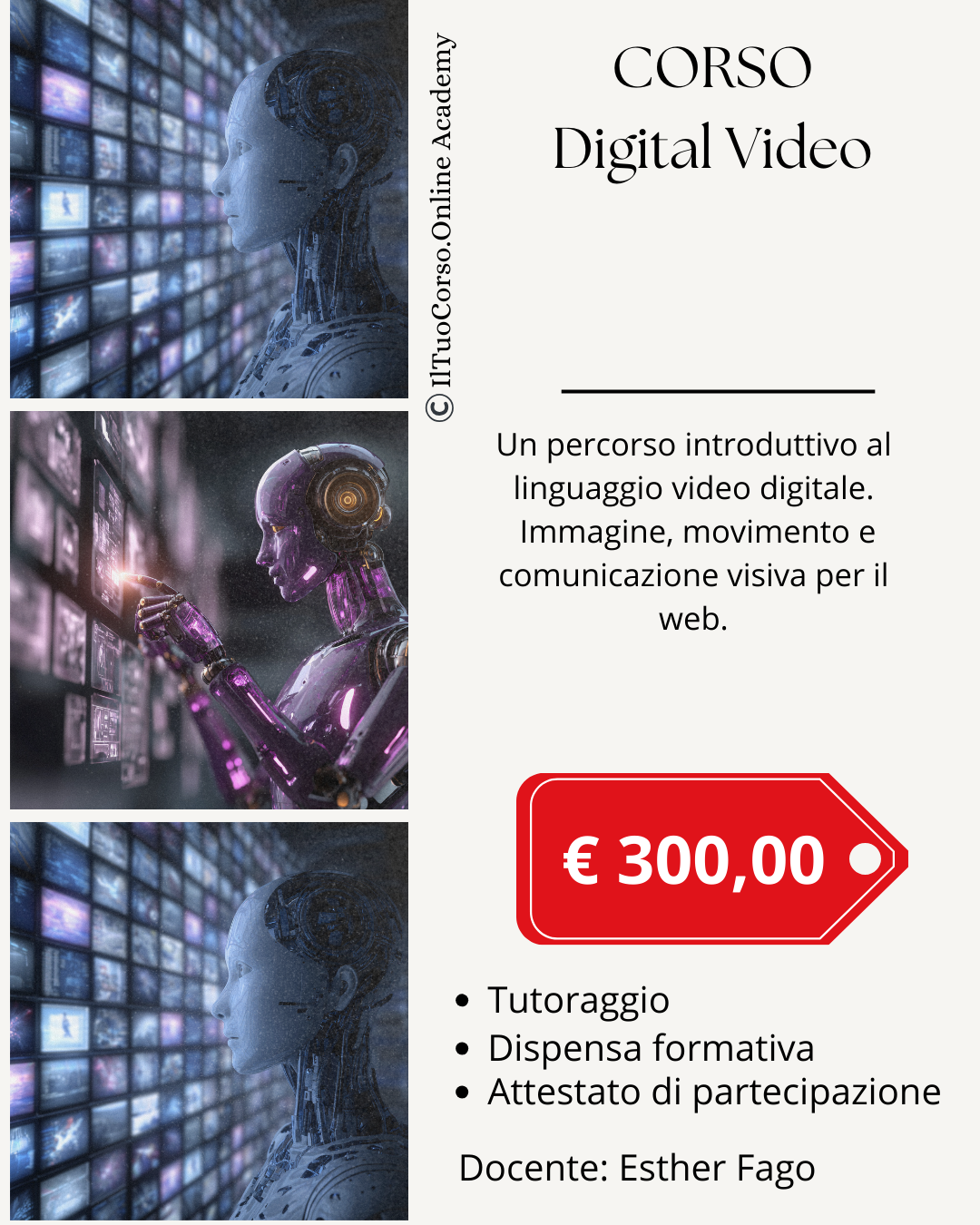 Corso Digital Video