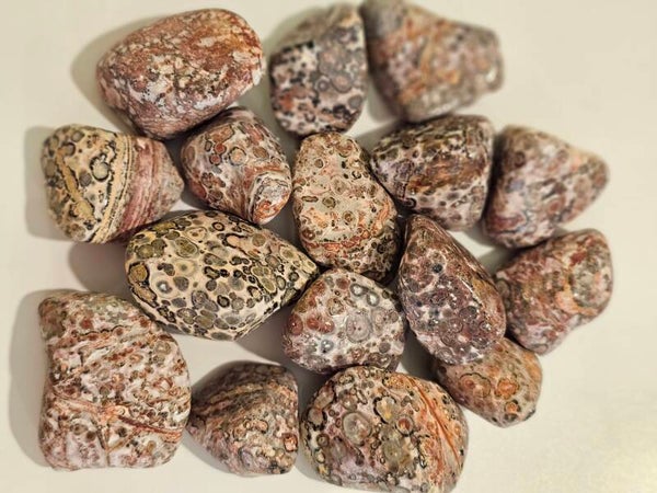 luipaard Jaspis / Leopard skin