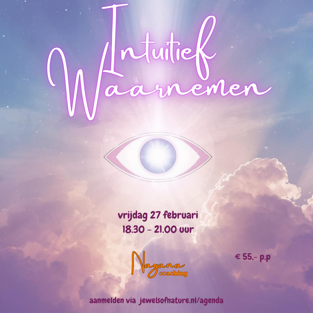 Intuitief Waarnemen 27 februari