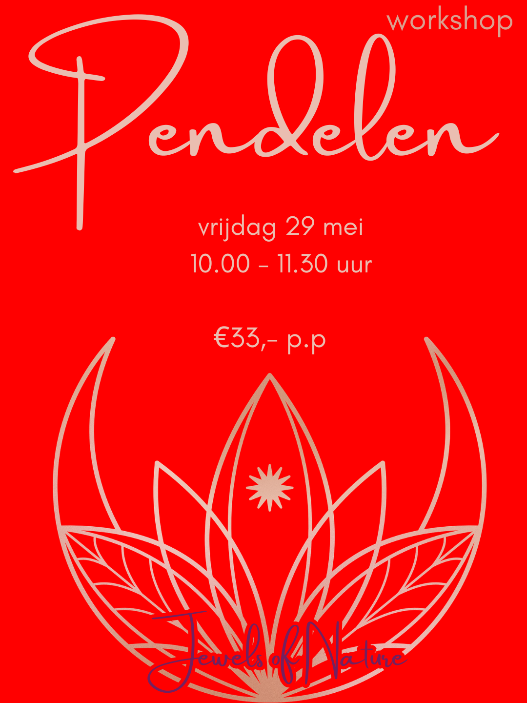 Workshop Pendelen vrijdag 29 mei