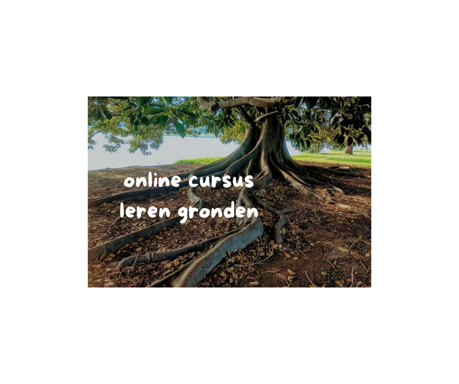 Online cursus gronden