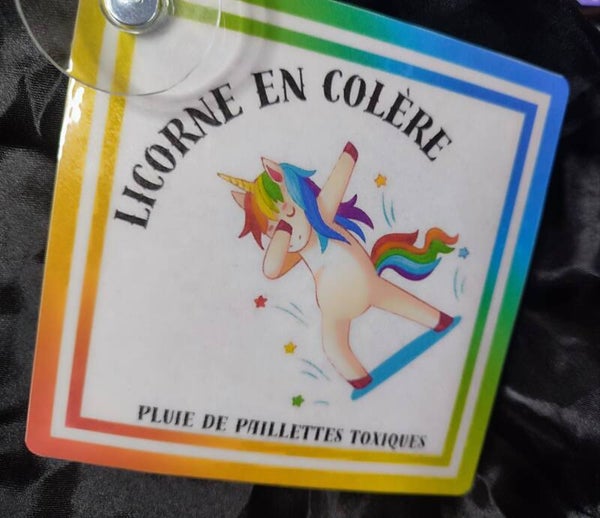 Panneaux voiture humoristique 🤡