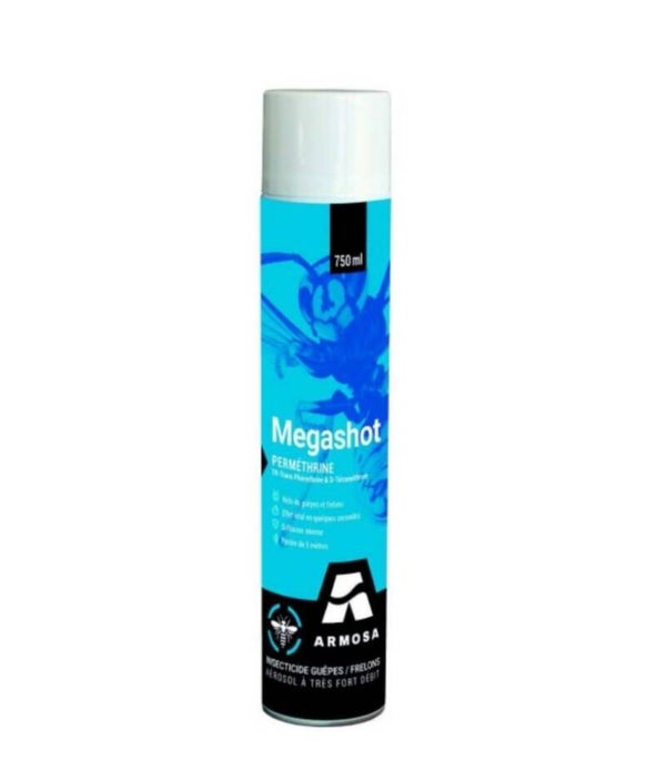 Aérosol frelon carton de 12