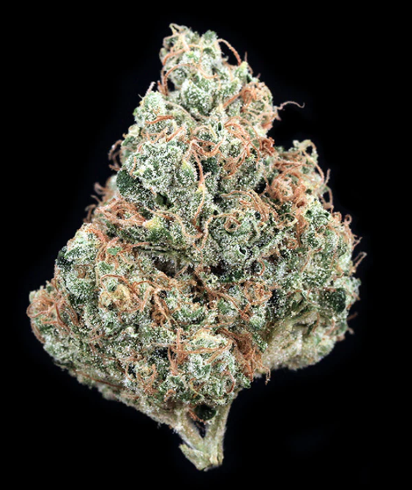 Sour Headband