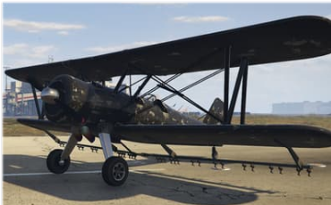 Company Duster (Western)