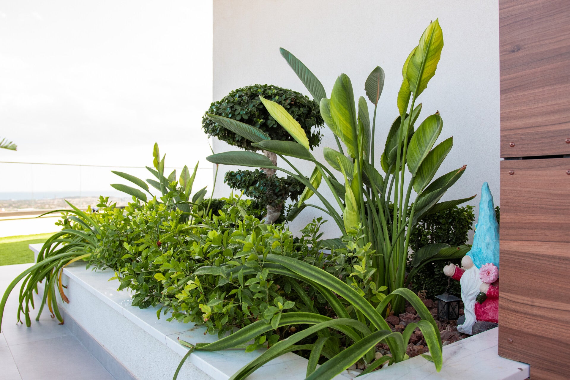 Luxury terrace garden by Green Planet Landscaping Cyprus featuring sculpted greenery, tropical plants and elegant modern outdoor design overlooking the Mediterranean.