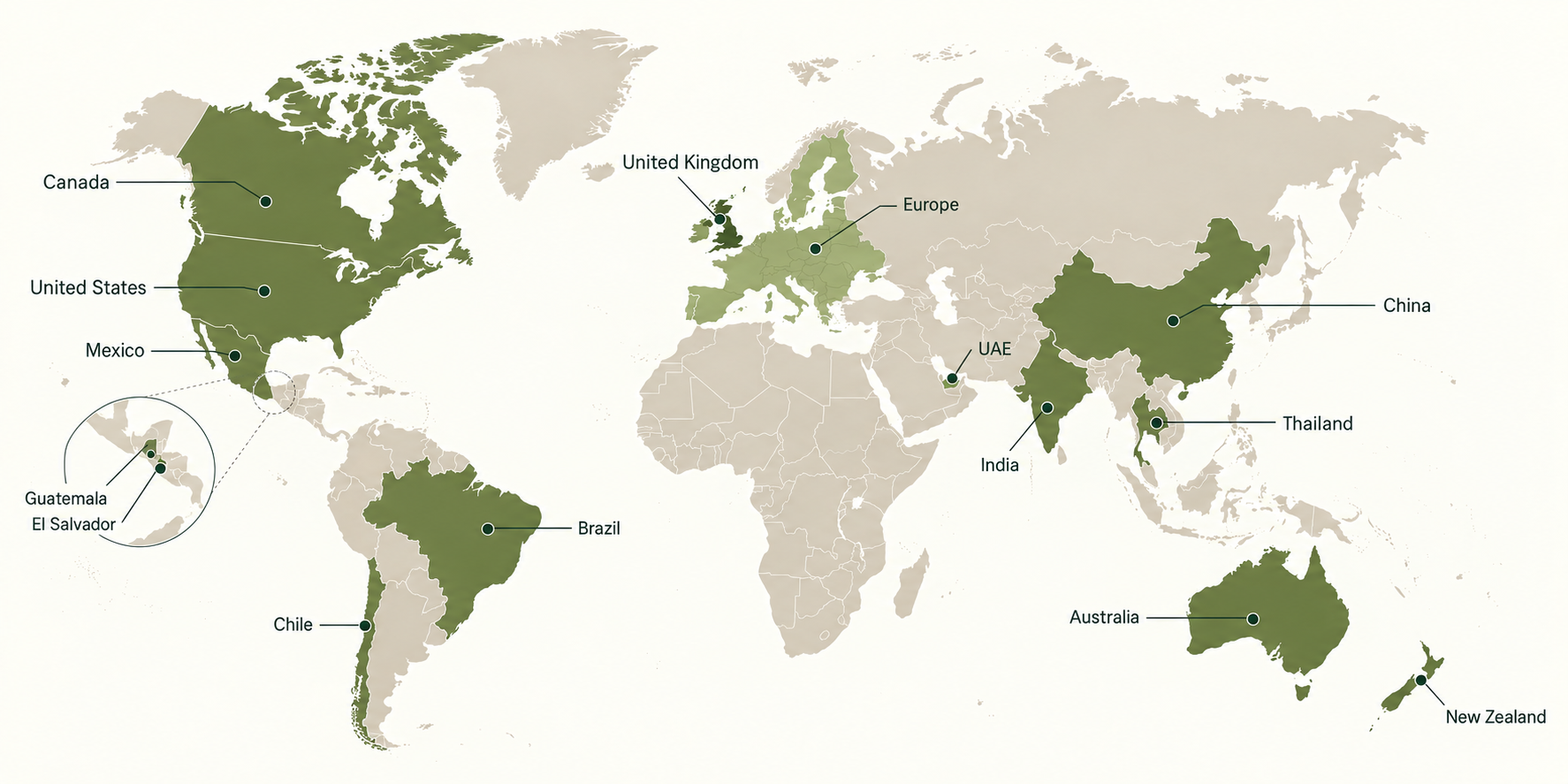 Global markets Rachel has worked across, including Australia, New Zealand, the United Kingdom, Europe, Asia and the Americas