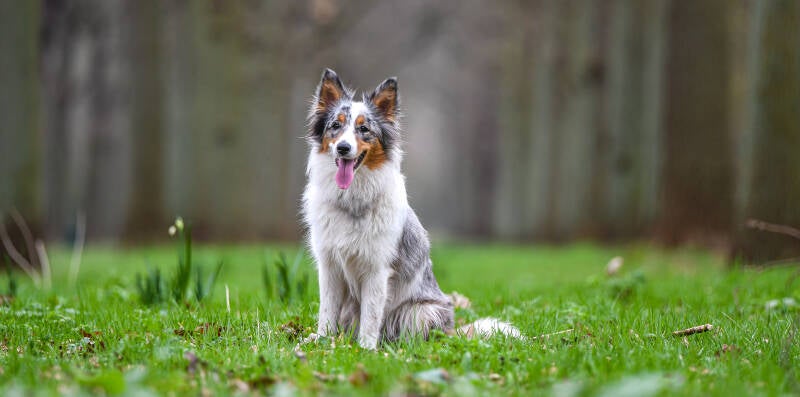 Locatie: Beeckestijn