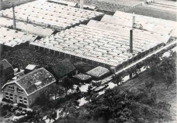 Vleuten tuinderij van Maurik LFN foto.