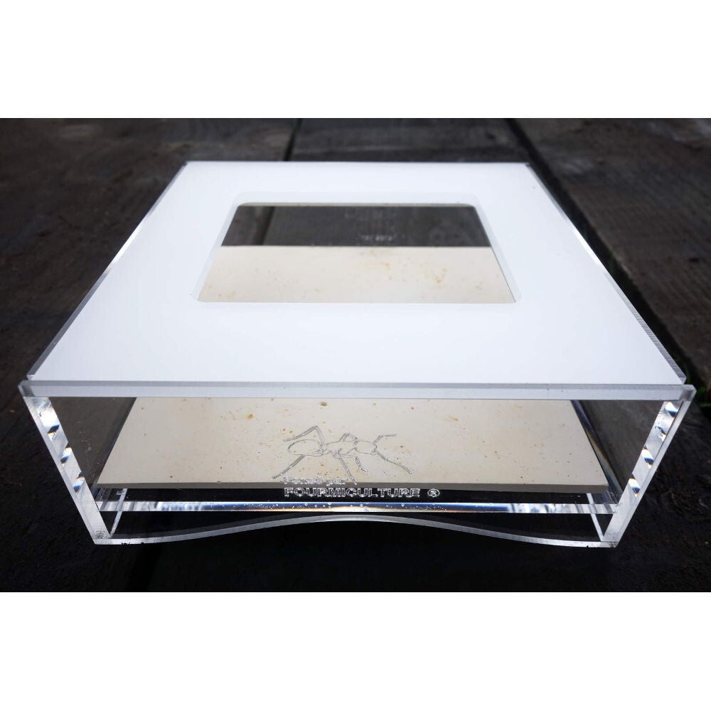 Beobachtungsraum 15x15cm, blankes Glas,