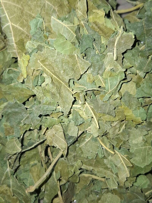 Walnussblätter Grün 50g