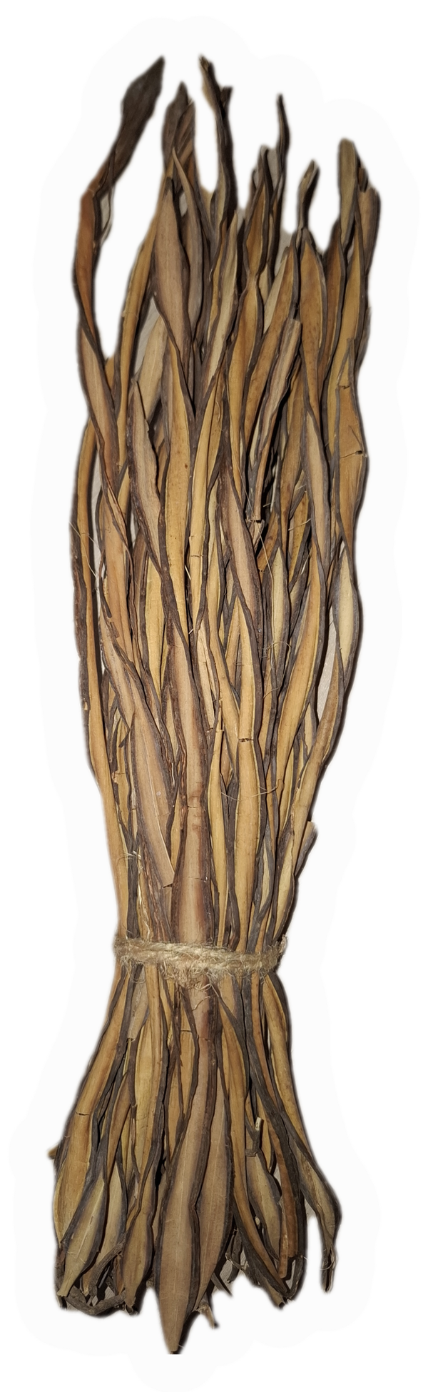 Feuergrass 30-50cm