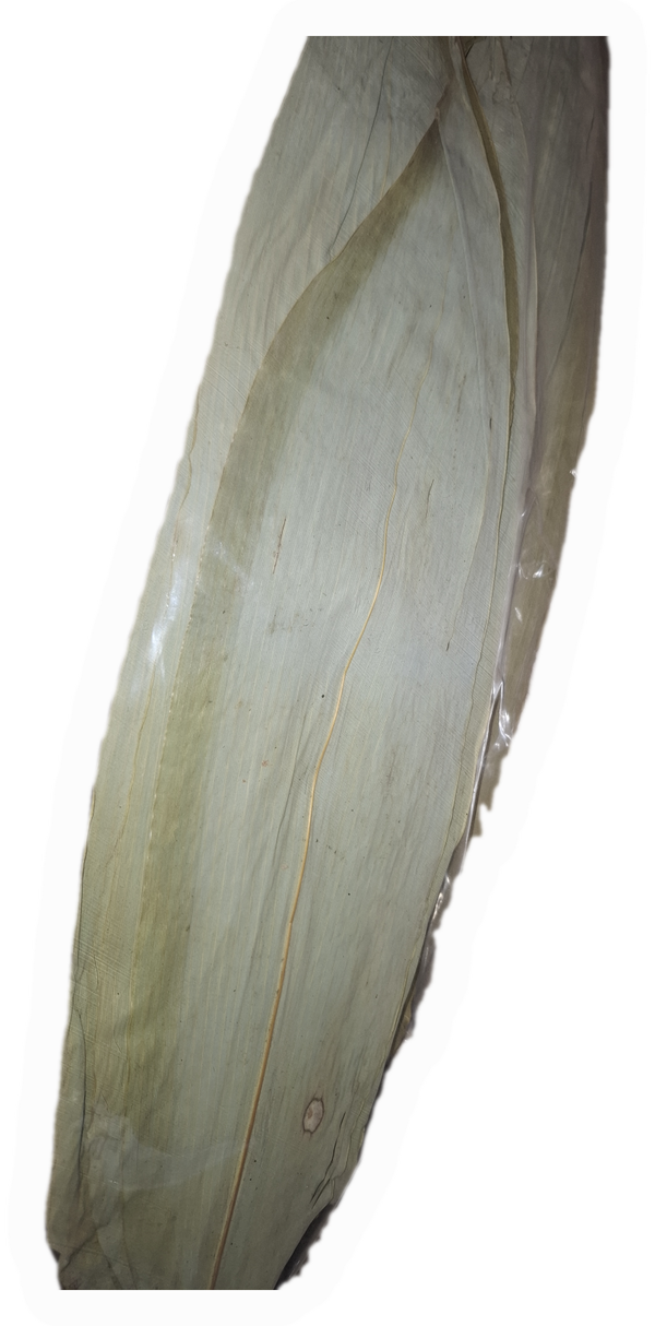 Bambus Blätter 30-45cm 10 STK