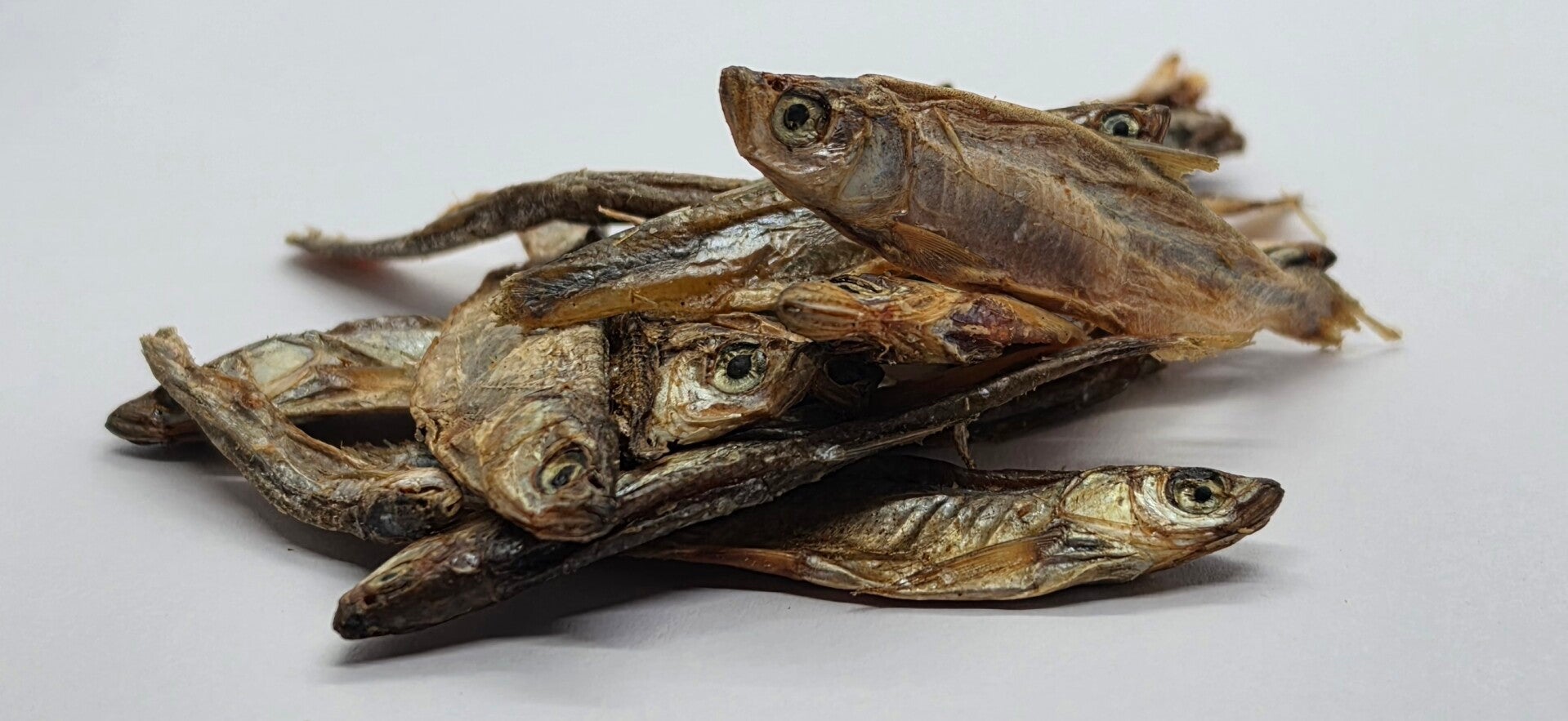Fische Gross getrocknet.