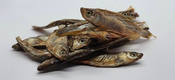 Fische Gross getrocknet.