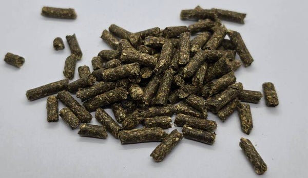 Reptilien Kräuter Pellets