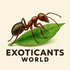 Exotic Ants A Plants