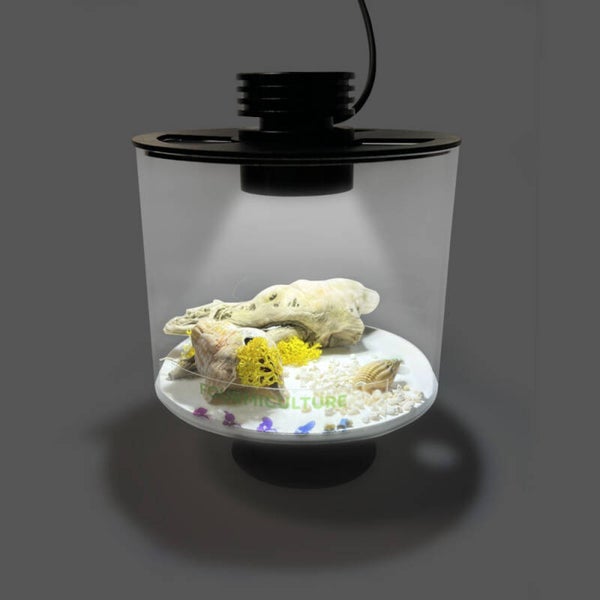 Island Arena 12x10cm LED-zylindrischer Futterbereich – Fourmiculture