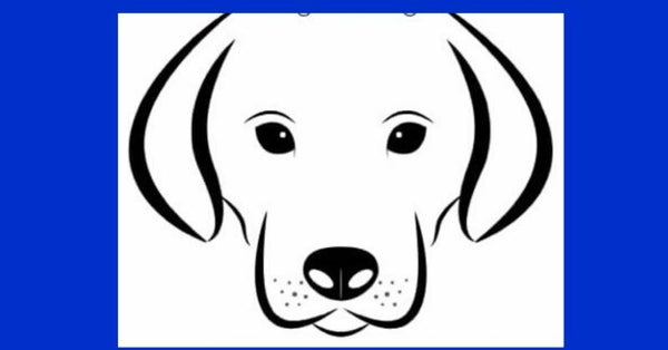 Super Premium High Energy