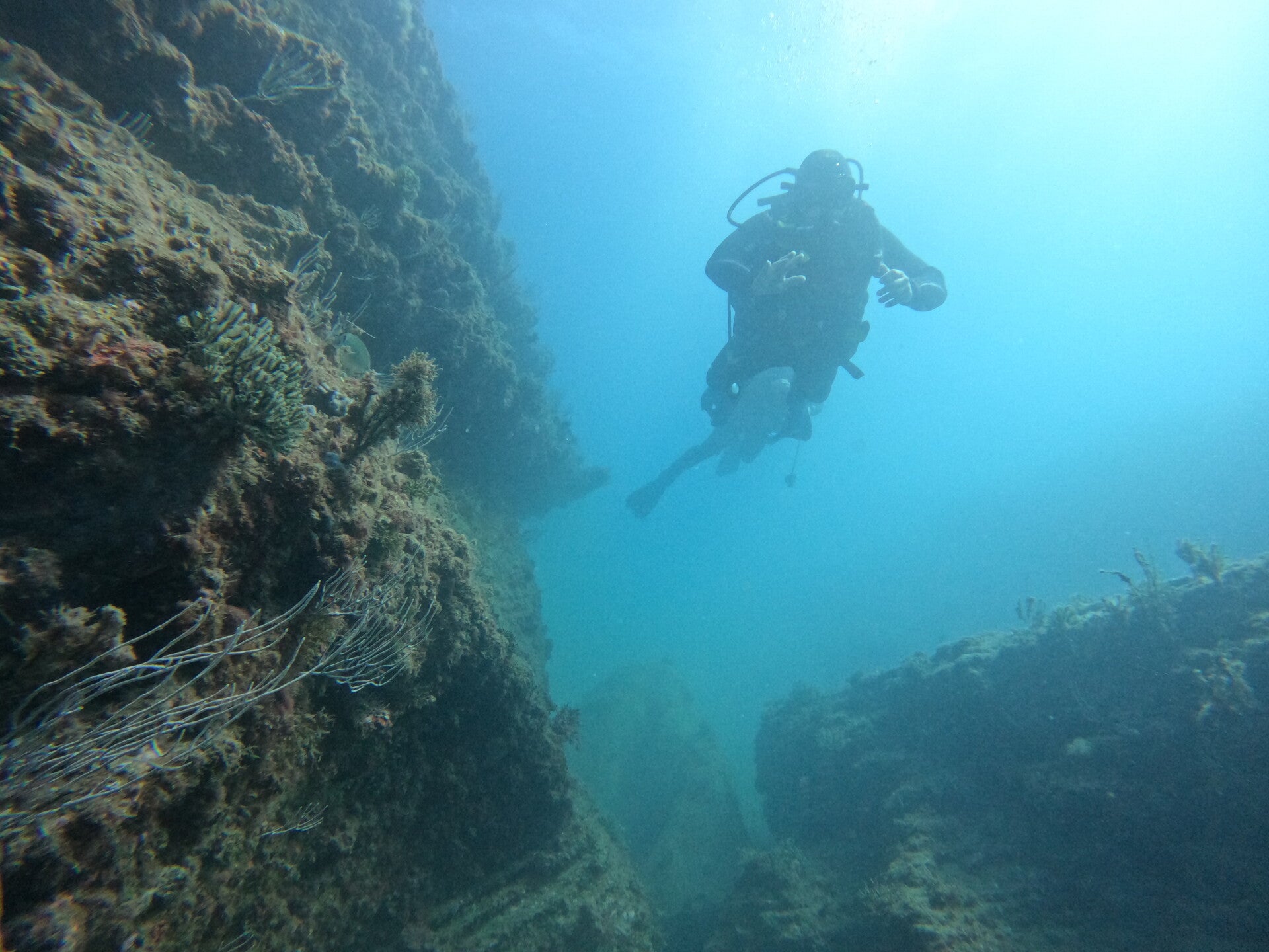 Plongée sous marine, plongée hérault, découvrir la plongée, essayer la plongée 
