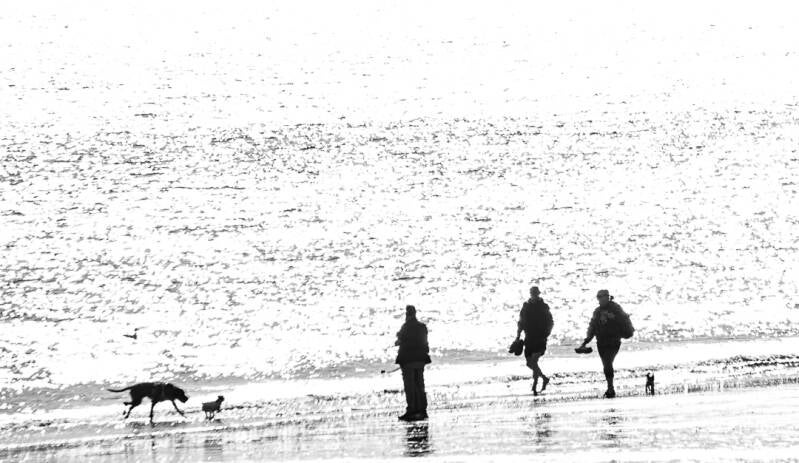 Black and white photograph of people walking dogs along a beach, silhouetted against dazzling sunlight reflecting off the sea.