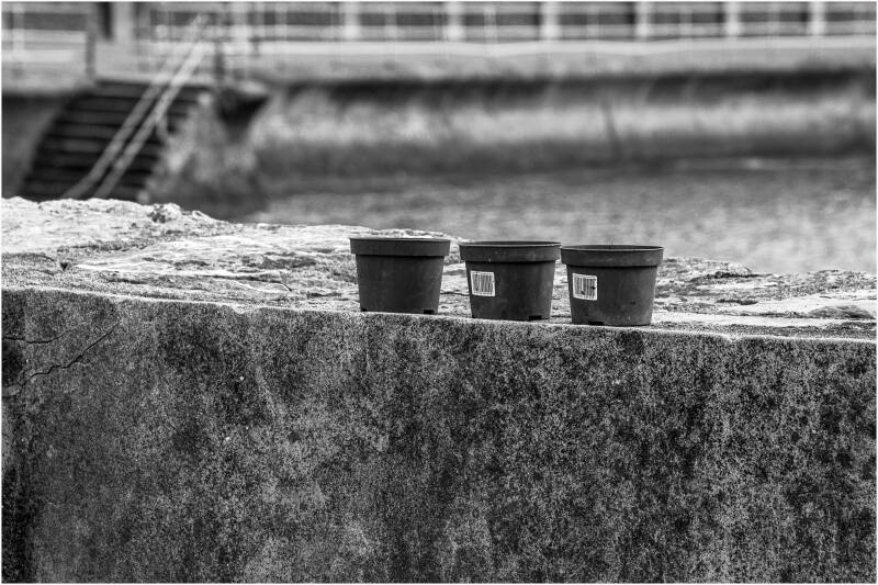 hree empty black plastic plant pots standing together on a weathered stone wall, photographed in black and white with a blurred waterfront behind.