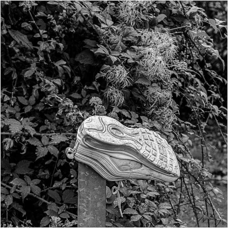 A single abandoned sports trainer balanced upside down on a metal post, surrounded by dense foliage in a black and white photograph.