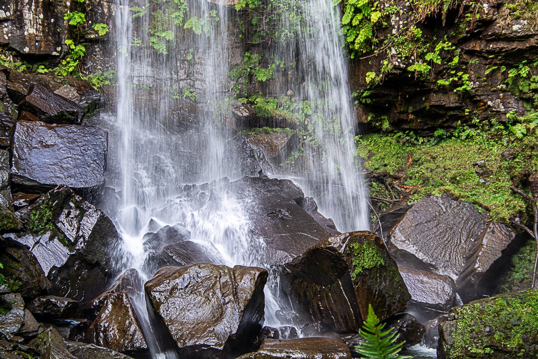 Waterfall flowing over wet rocks surrounded by green moss and ferns.