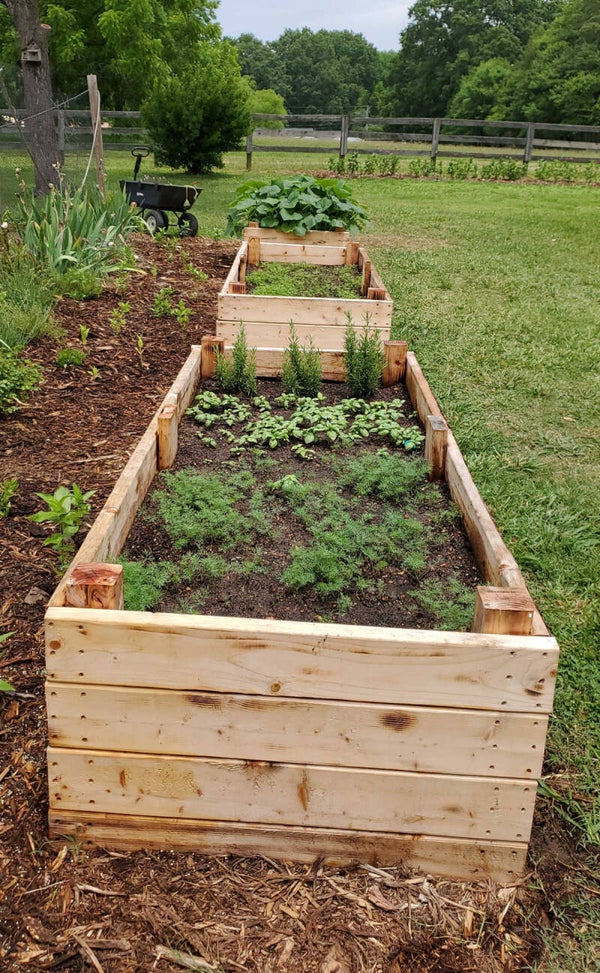 Raised garden
