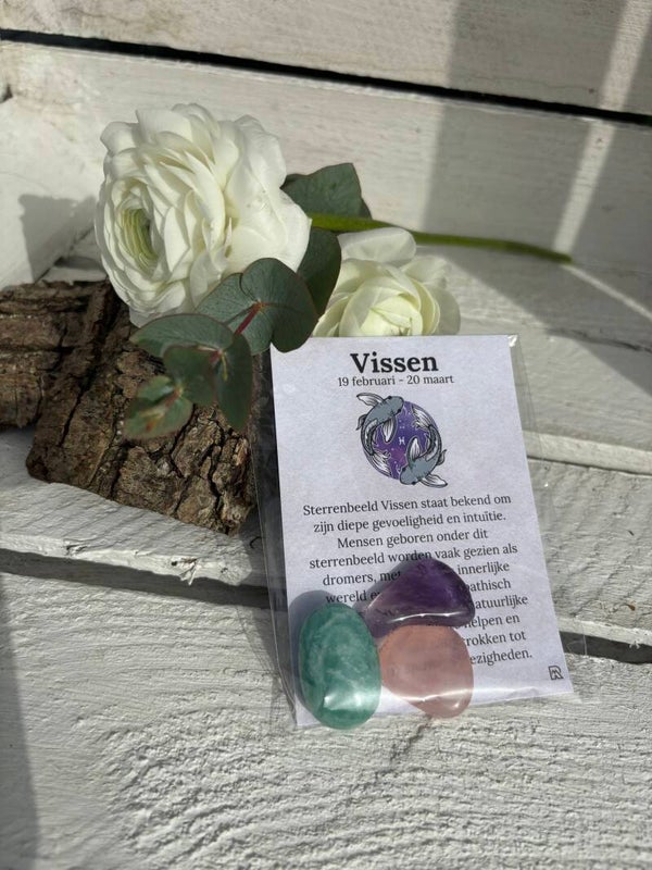 Sterrenbeeldzakje Vissen