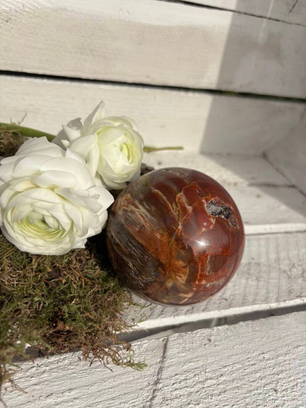 Versteend hout bol 7 cm